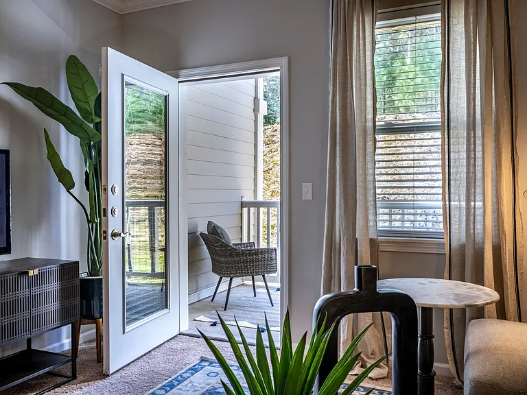 Balcony Door