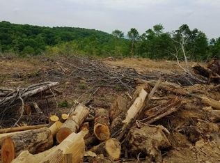 5 Doc Loy Rd, Grandview, TN 37337