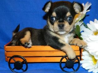 433 6th Ave SW, Cambridge, MN 55008