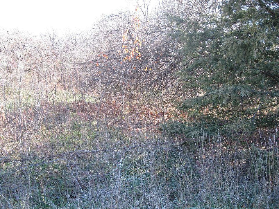 2nd image of 201 Rd #Lot #2