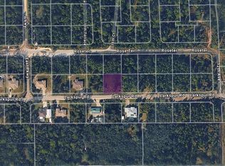 2851 Larkspur Rd Lot 438, Deland, FL 32724