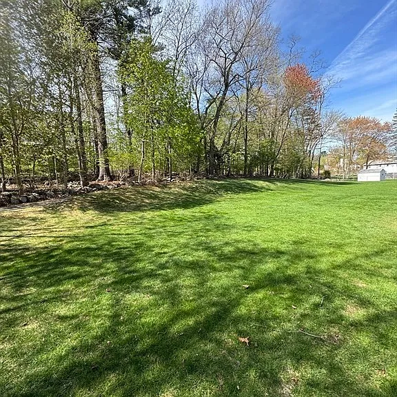 7 Canterbury Rd — Photo 13