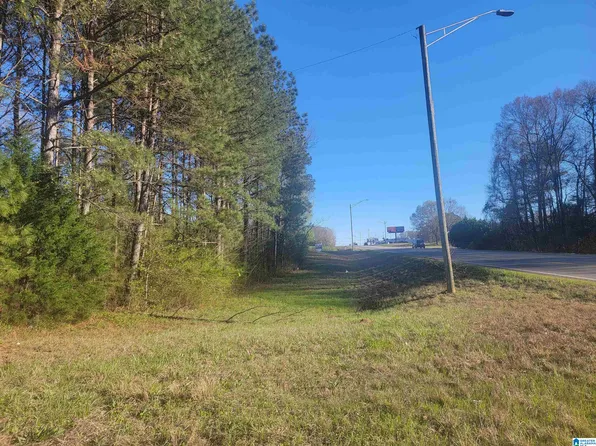 302/ACRE S Highway 431 Parcel 3, Roanoke, AL 36274