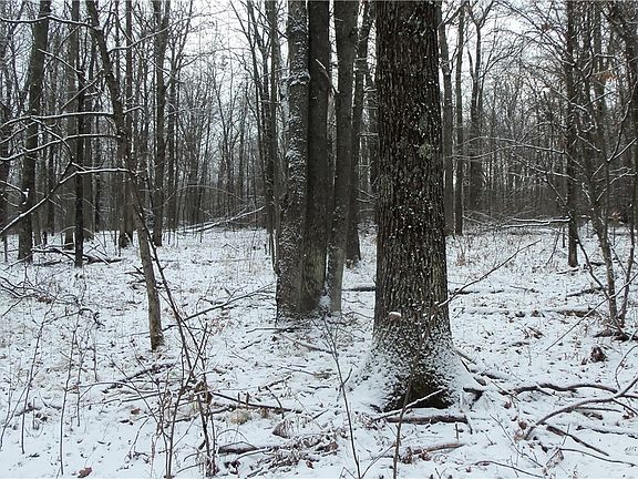 4th image of LOT 2 Blackberry Road