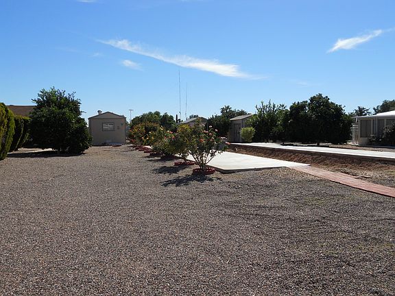 CLEAN LOT WITH CITRUS TREES