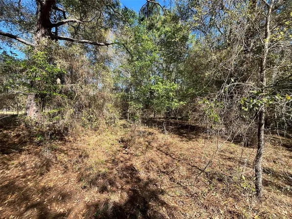 Lily Dr Lot 63, Interlachen, FL 32148