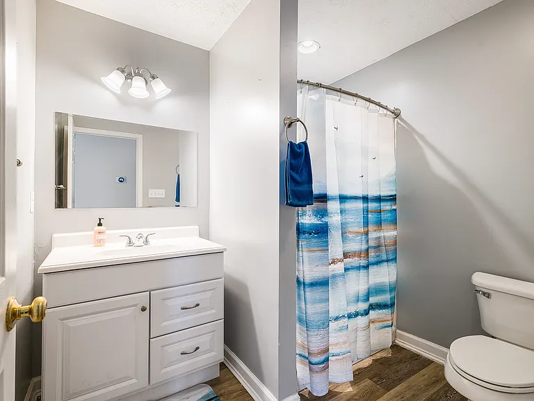 Hall bathroom.