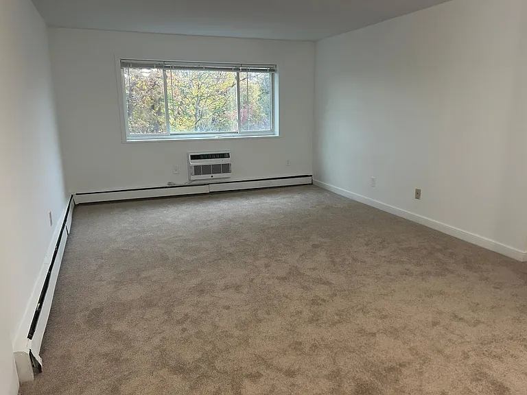 311A Washington Ave — Photo 4