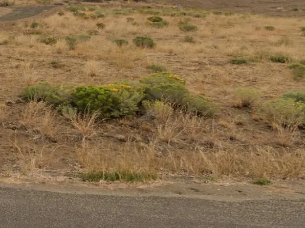 41980&41970 Fawn Ln N, Davenport, WA 99122