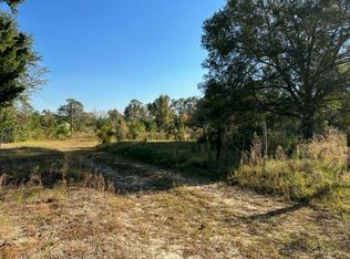 25 Briarwood Ln, Lenox, GA 31637