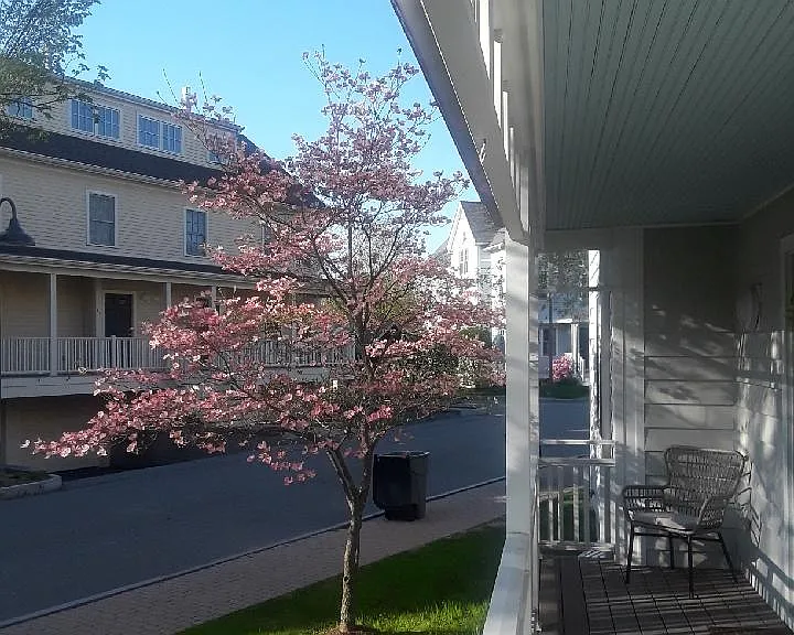 18 Russell Pl — Photo 34