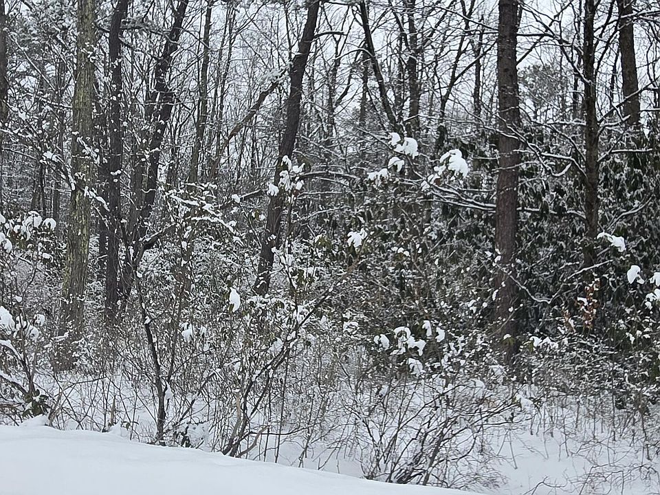 1st image of N Sycamore Dr
