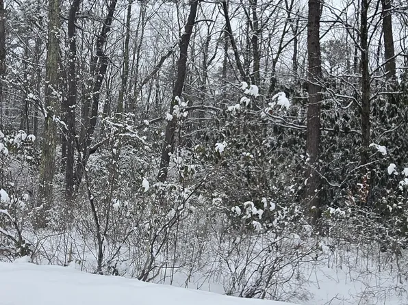 Beechwood Dr, Jim Thorpe, PA 18229