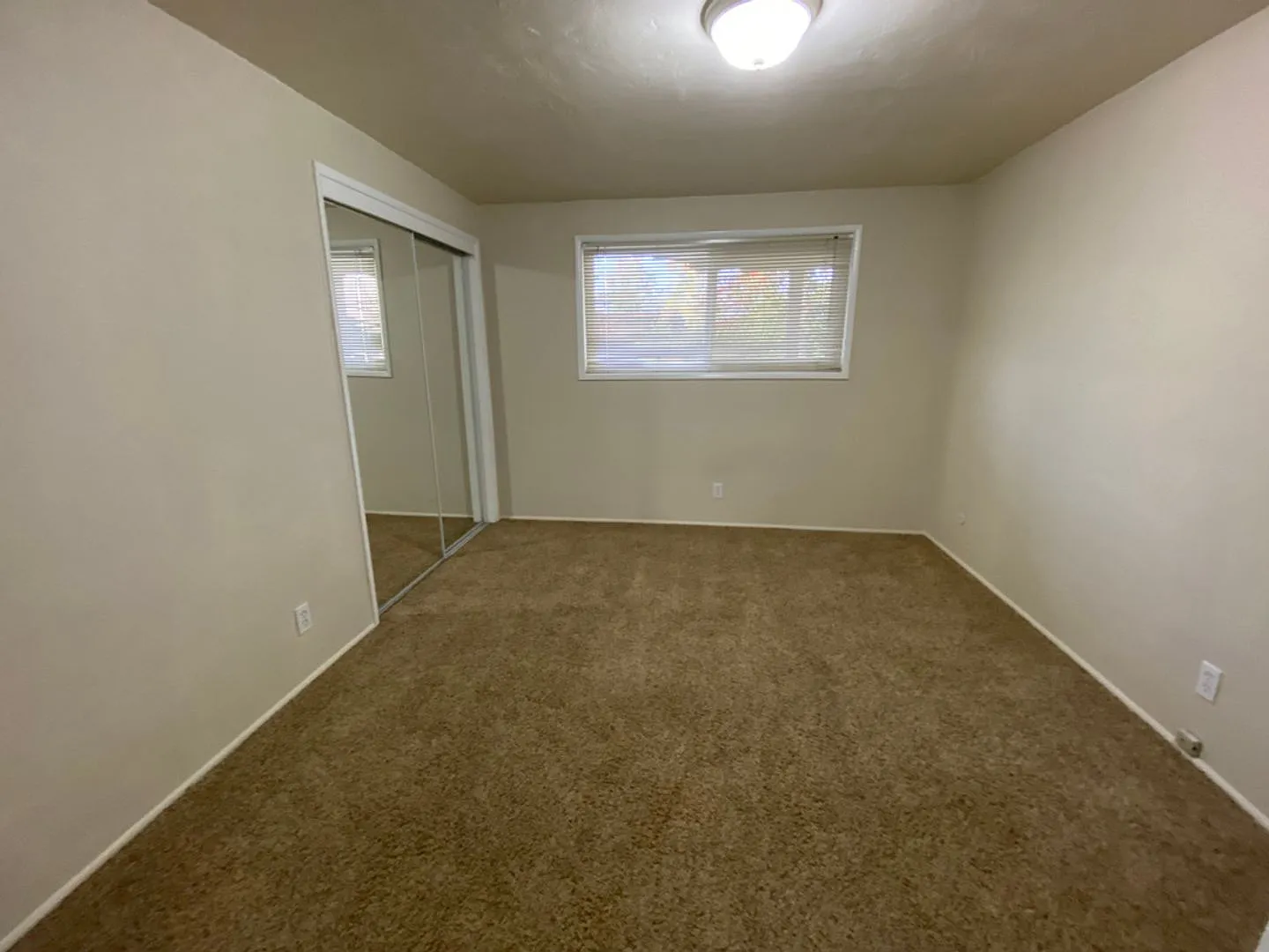 Downtown 2 bedroom ground floor apartment — Photo 4