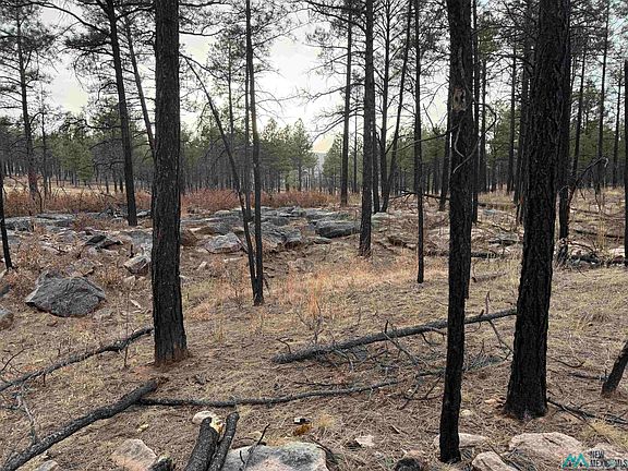 3rd image of 5 Cabo Lucero Rd