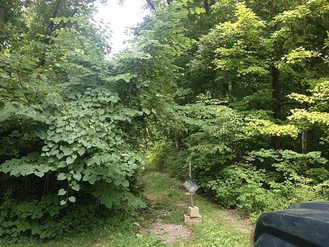 1st image of 1515 N Stockport Dr
