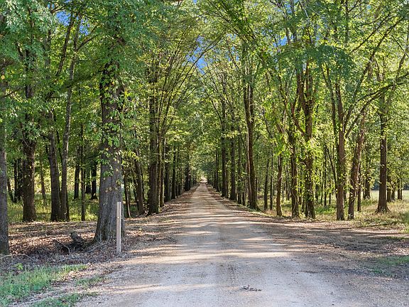 48th image of this home