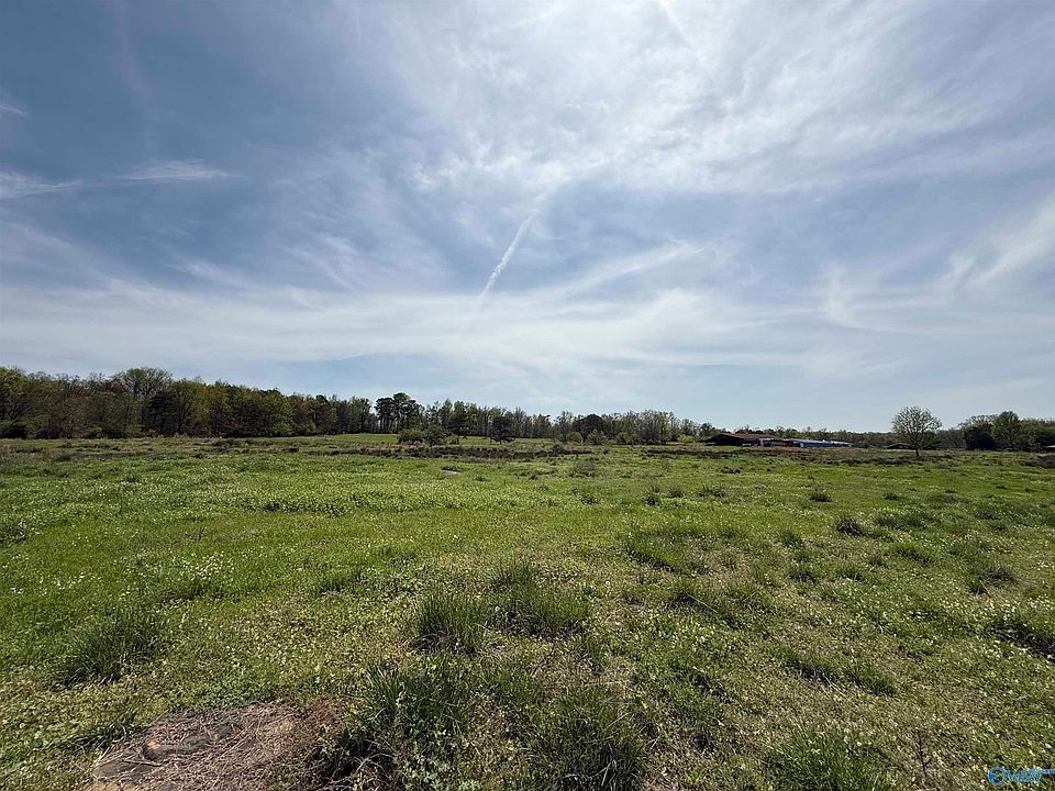 2nd image of 20.2 Acres Bluff Rd