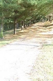 Looking up the drive