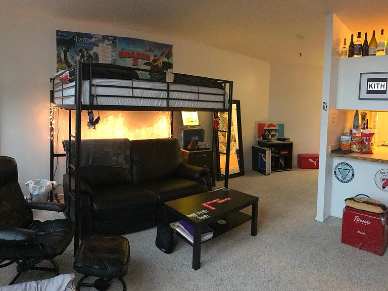 780 S Federal St #1008 — Photo 13