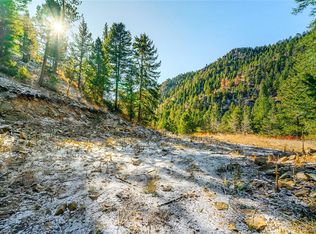 1150 Fall River Rd, Idaho Springs, CO 80452