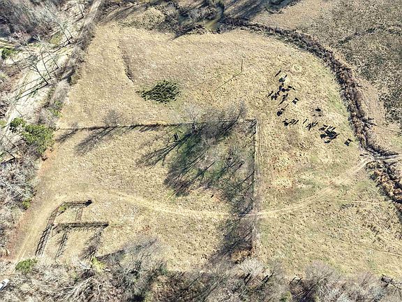 2nd image of Squirrel Rd