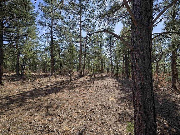 4th image of TBD Rancho La Garita Lot 1129