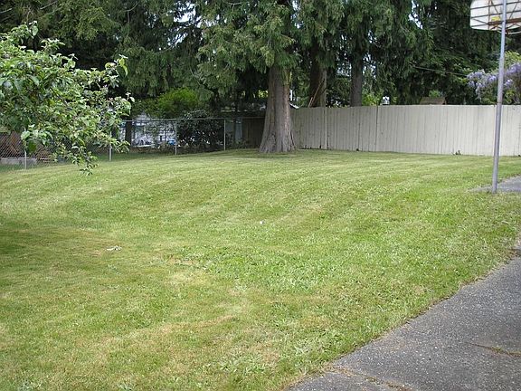 Large Backyard