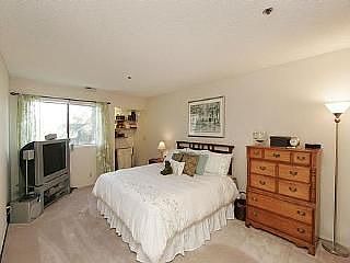 4th image of 2364 La Terrace Cir