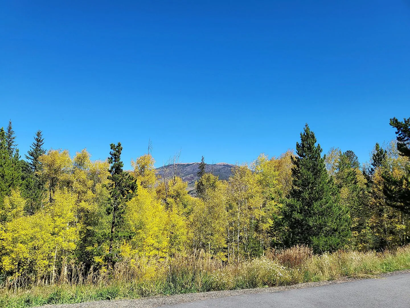 Long Term Rental- 3712 Silverheels Drive — Photo 1