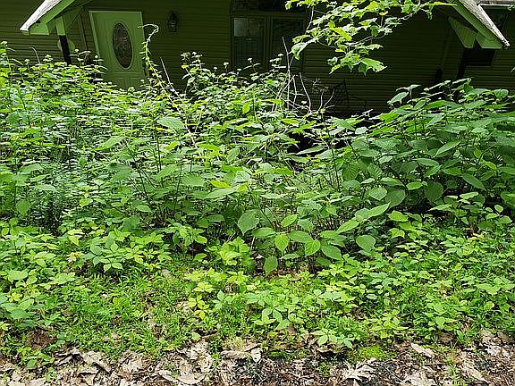 So private no neighbors