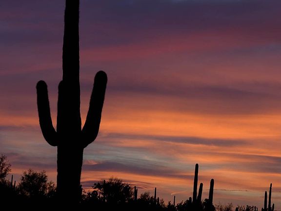 Sunrise from the Patio