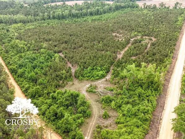 Martin Rd, Twin City, GA 30471