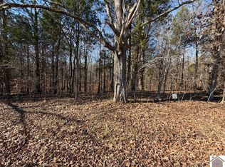 46 Bayridge Rd, New Concord, KY 42076