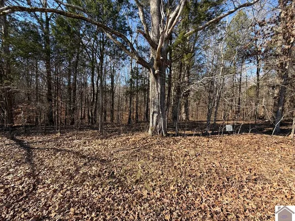 46 Bayridge Rd, New Concord, KY 42076