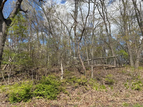 Anderson Rd, Cassopolis, MI 49031