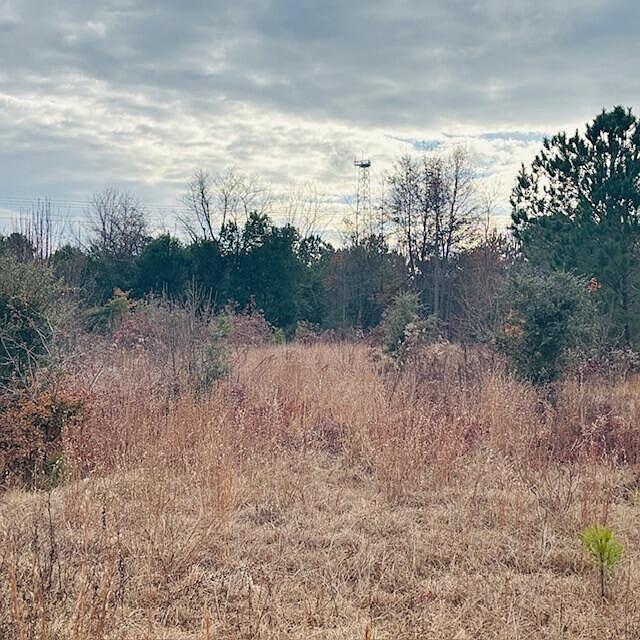 2nd image of Woodward Dr