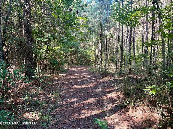4th image of Burt Jordan Rd
