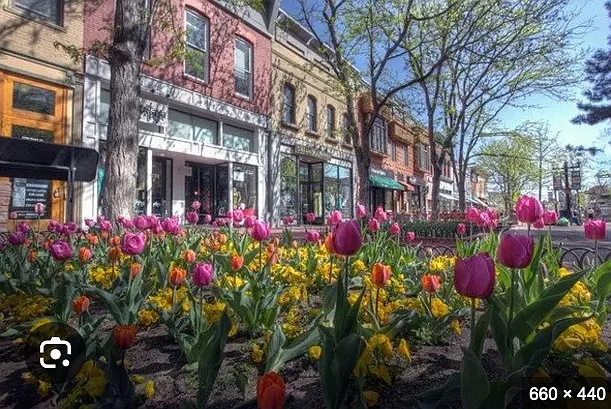 Pearl St. Mall
