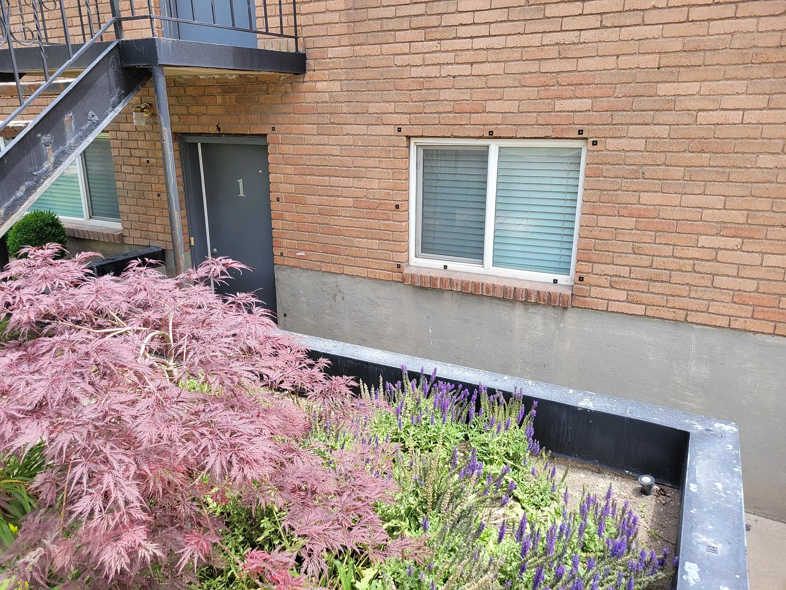 2 bed, 900 sqft, $1,295 — Photo 2