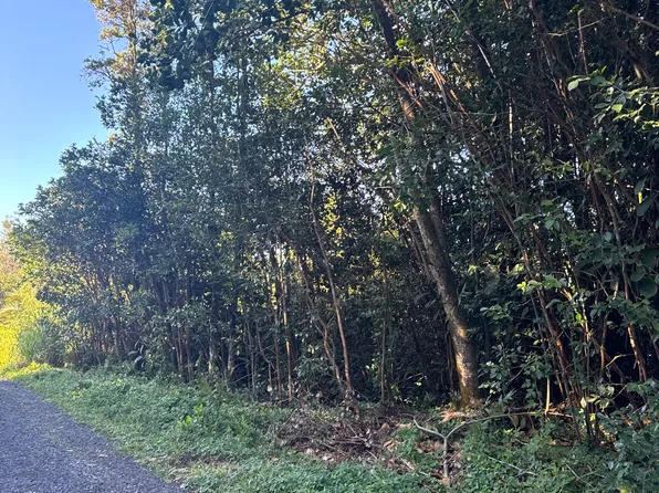 11th Ave Lot 1545, Keaau, HI 96749