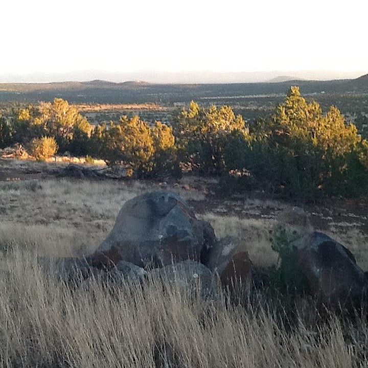 1st image of LOT 65 Show Low Paradise Lot 65