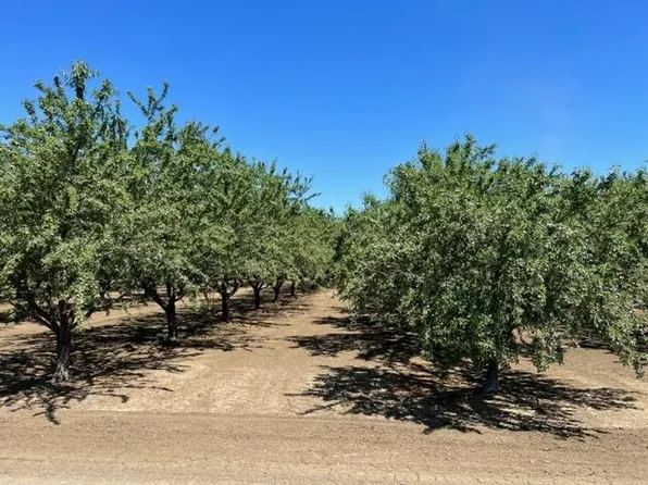 16585 County Road 87, Esparto, CA 95627