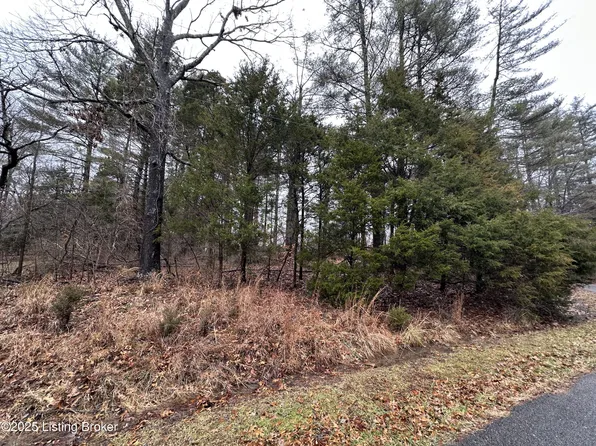 125 Tanager Dr, Brandenburg, KY 40108