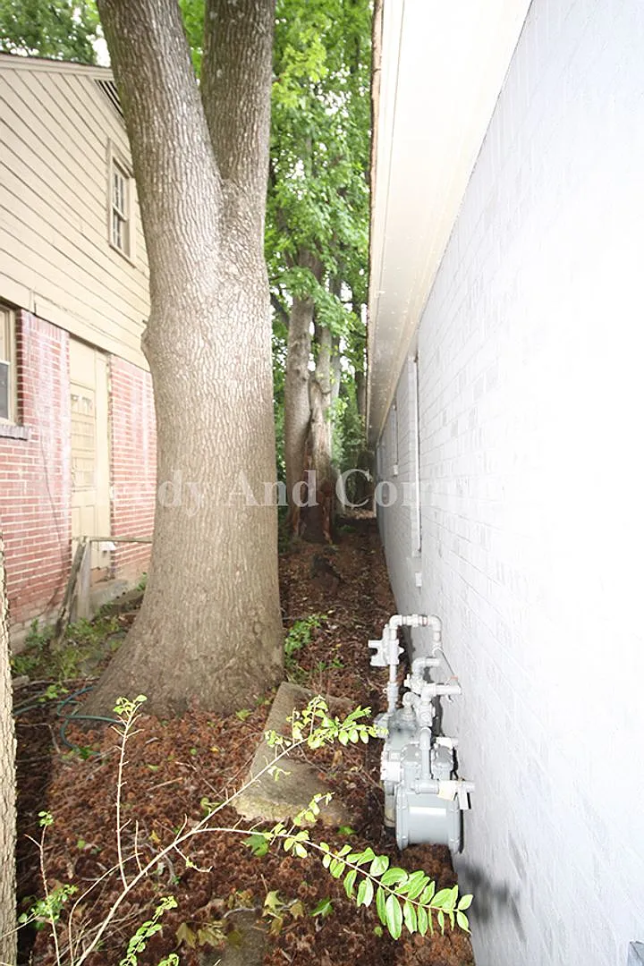 Half off 1st Full Months Rent Special !! Welcome to 848 Biggs Street! — Photo 3