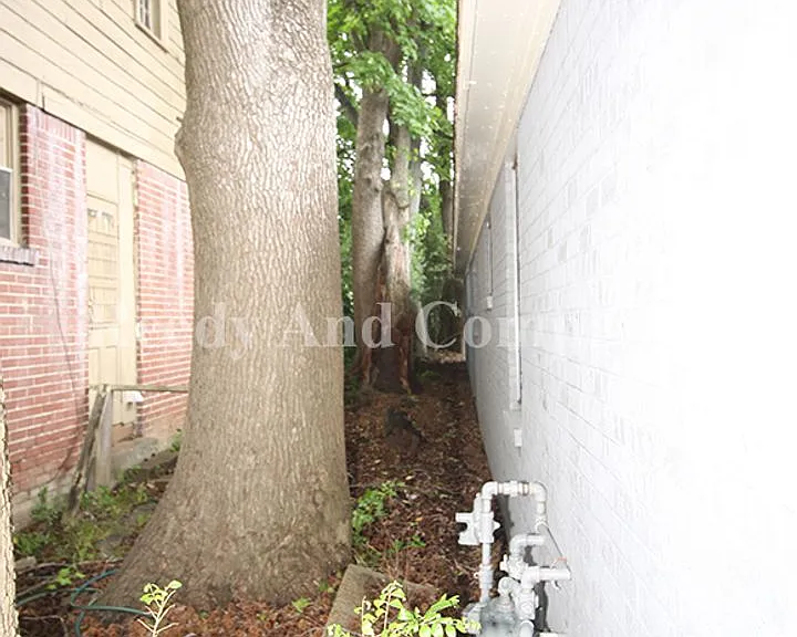 848 Biggs St — Photo 2