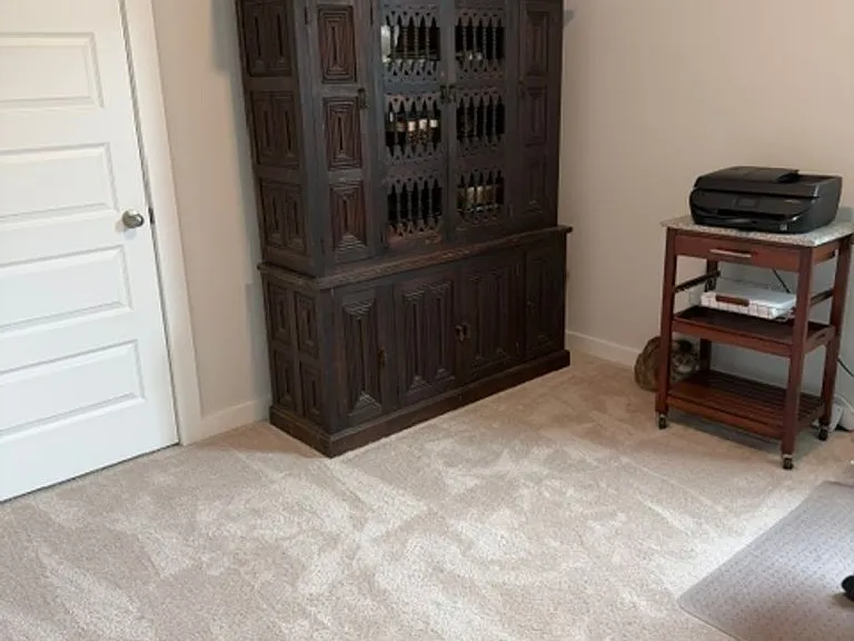 1037 Royal Gorge Ct — Photo 14