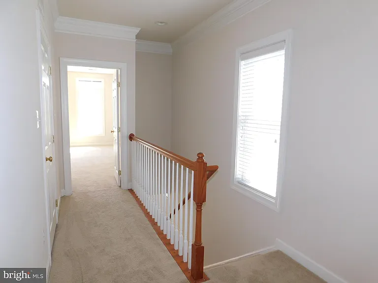 937 Hidden Marsh St — Photo 11