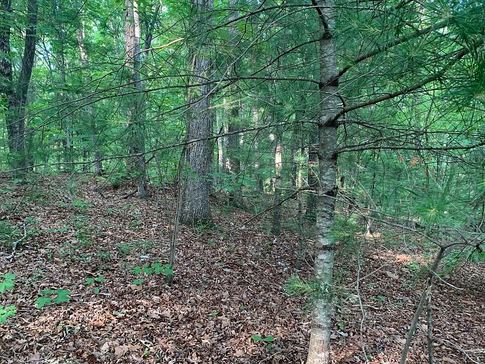 2nd image of Blue Ridge Dr