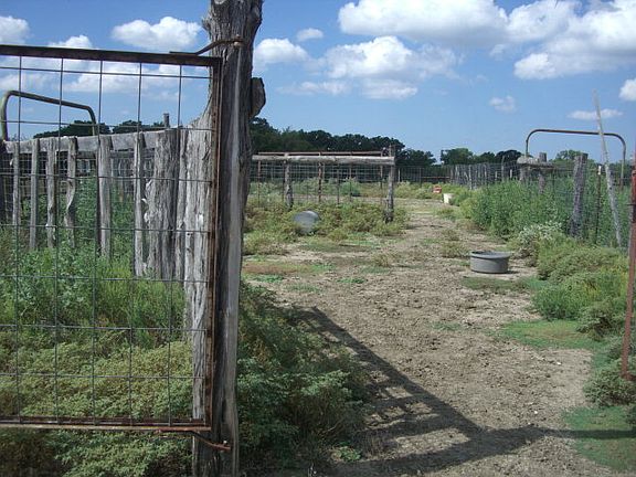 5th image of 7178 County Road 2210